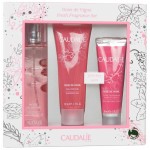 583899-caudalie-cofrecito-rose-de-vigne-ref2337a